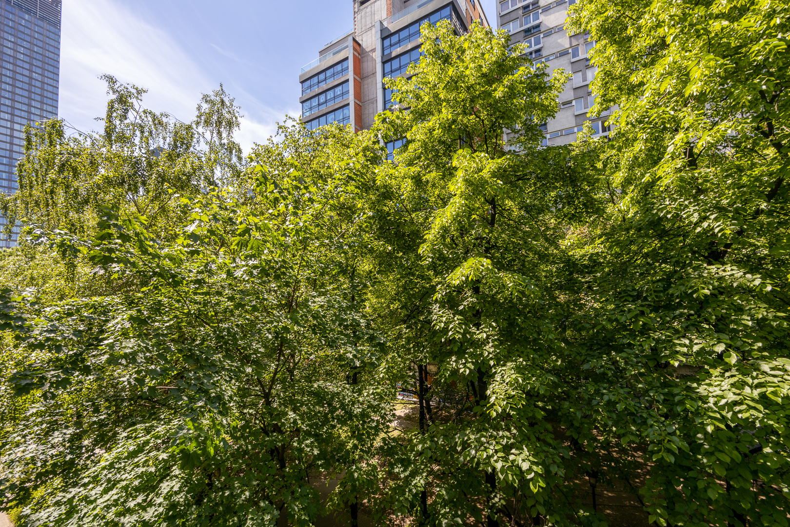 Apartment for Rental, Warszawa Śródmieście, ul. Grzybowska 98414228